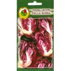 Cykoria liściowa PALLA ROSA 5 0.5g