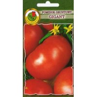 Pomidor gruntowy GIGANT 1g