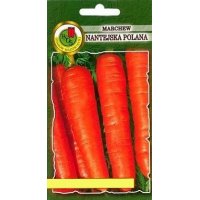 Marchew NANTEJSKA POLANA 500g