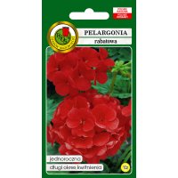 Pelargonia rabatowa F1 czerwona 10n