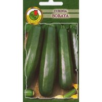 Cukinia SORAYA 100g