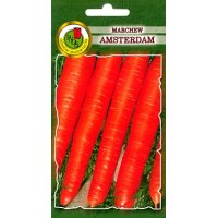 Marchew AMSTERDAM 2 5g