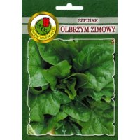 Szpinak OLBRZYM ZIMOWY 20g