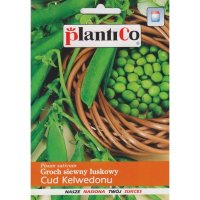 Groch Cud Kelvedonu 50g P