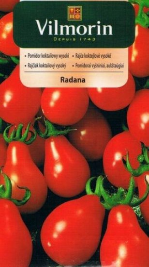 Pomidor gruntowy Radana 0,3g V - Kliknij na obrazek aby go zamknąć