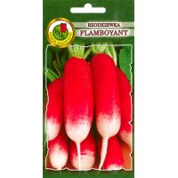 Rzodkiewka FLAMBOYANT 10g