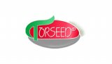 Torseed