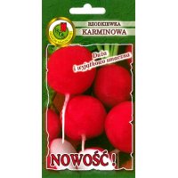 Rzodkiewka KARMINOWA 100g