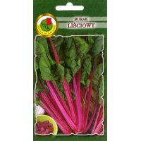 Burak liściowy RHUBARD CHARD 3g