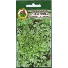 Cykoria liściowa Catalonga 1g