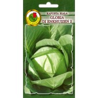 Kapusta biała GLORIA DI ENKHUIZEN 2 5g