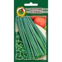 Szczypiorek BOHEMIA 500g