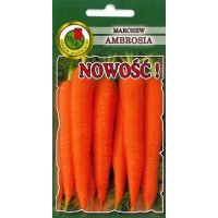 Marchew AMBROSIA 500g