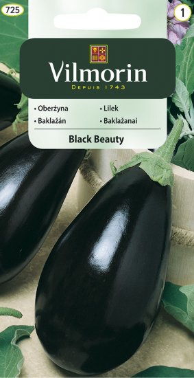 Oberżyna BLACK BEAUTY 2g V - Kliknij na obrazek aby go zamknąć