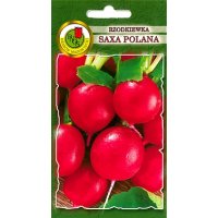 Rzodkiewka SAXA POLANA 500g