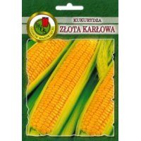 Kukurydza ZŁOTA KARŁOWA 20g